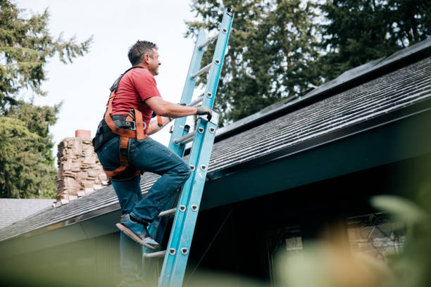 Best Sheet Metal Roofing  in Belfast, ME